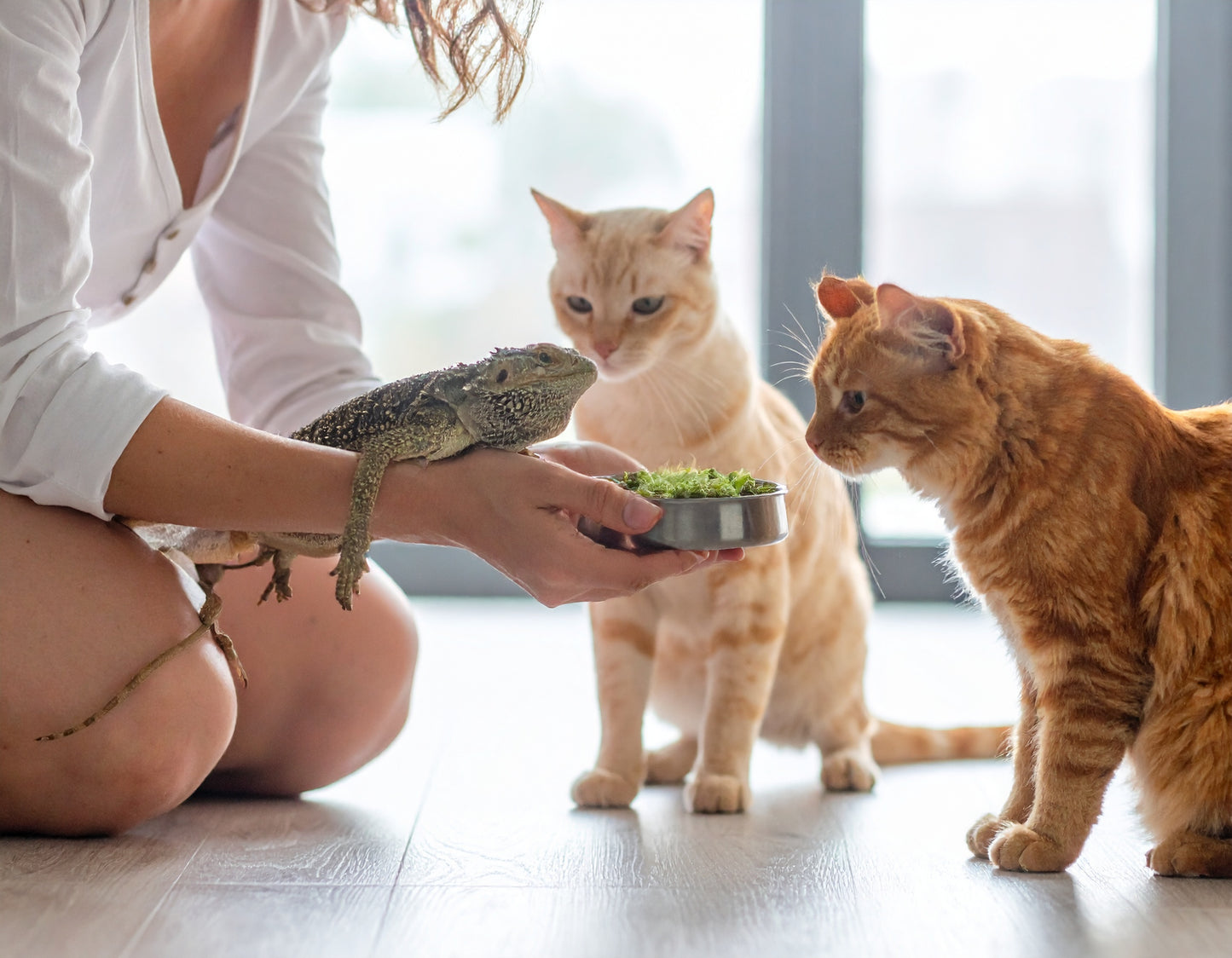 Mealtime