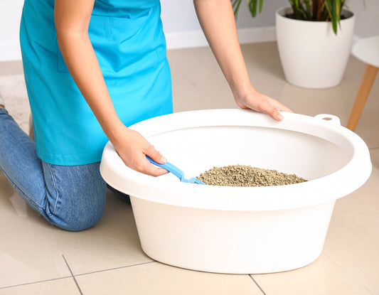 Litterbox scoop with other services, per box